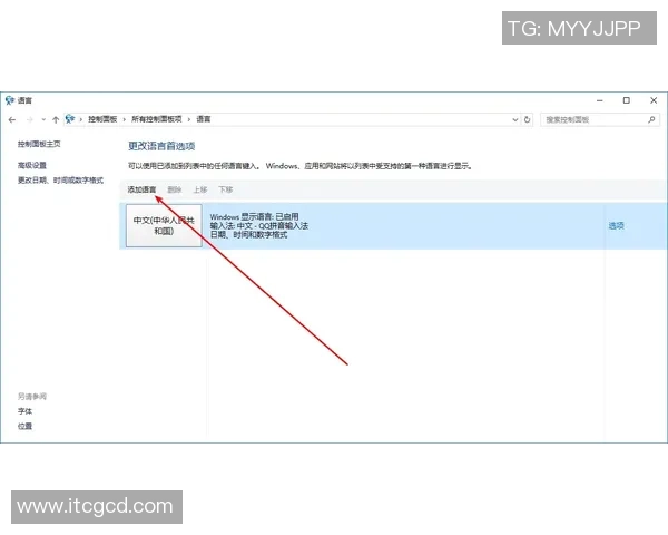 足球英语报：深入解析全球足球动态与语言文化的完美结合